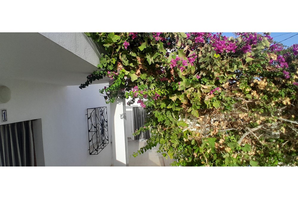 Villa Haute Standing à vendre à Houmt Souk